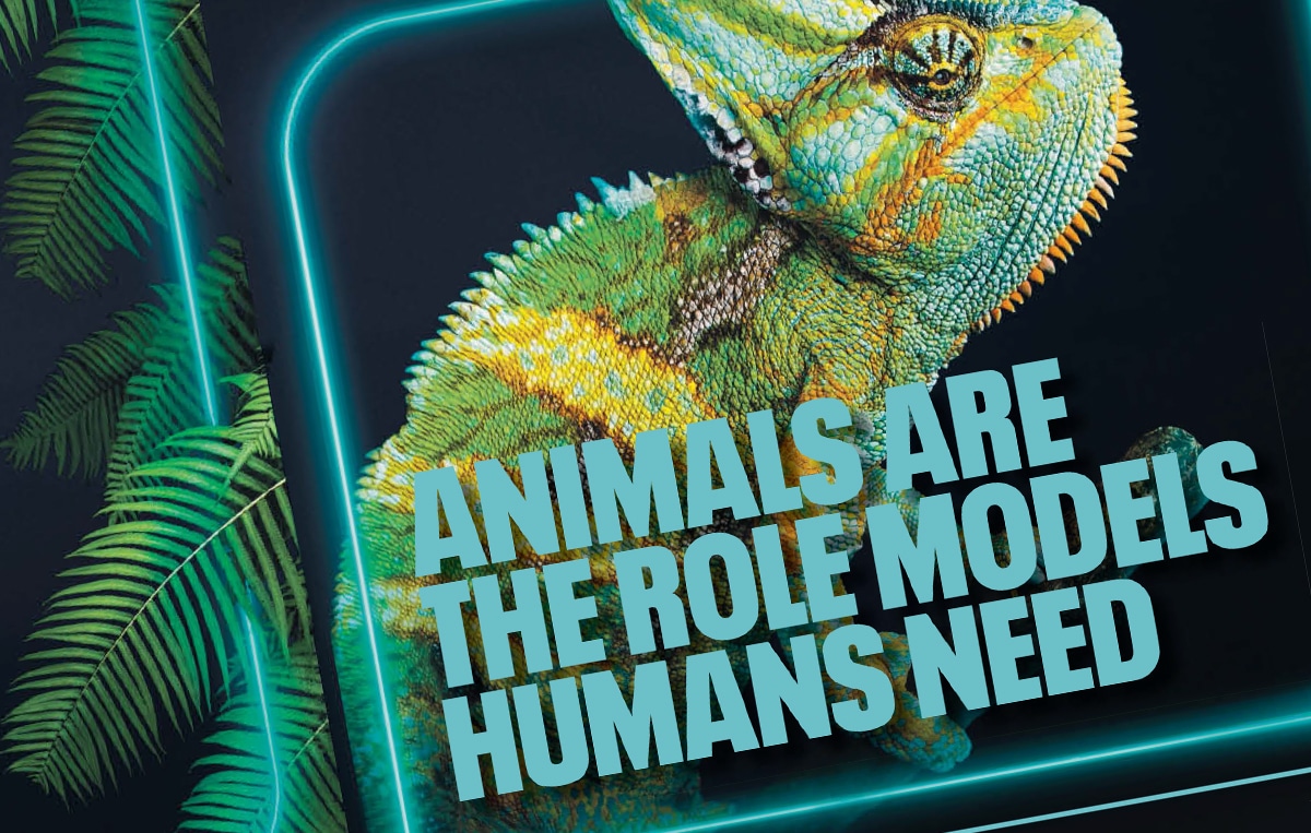 TIER's open letter from the animal kingdom hits Evening Standard cover wrap  » Newsworks